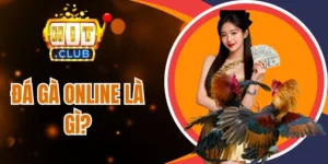 Các cửa cược đá gà online